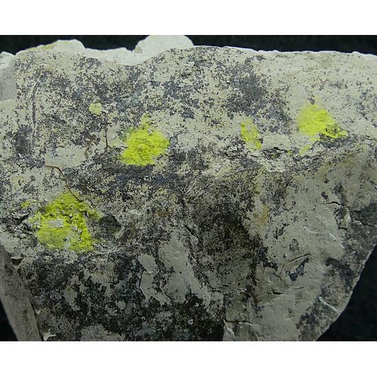 Tyuyamunite & Sepiolite
