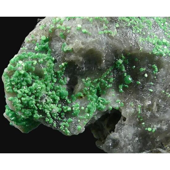 Torbernite