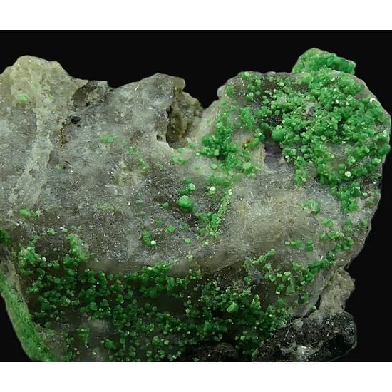 Torbernite