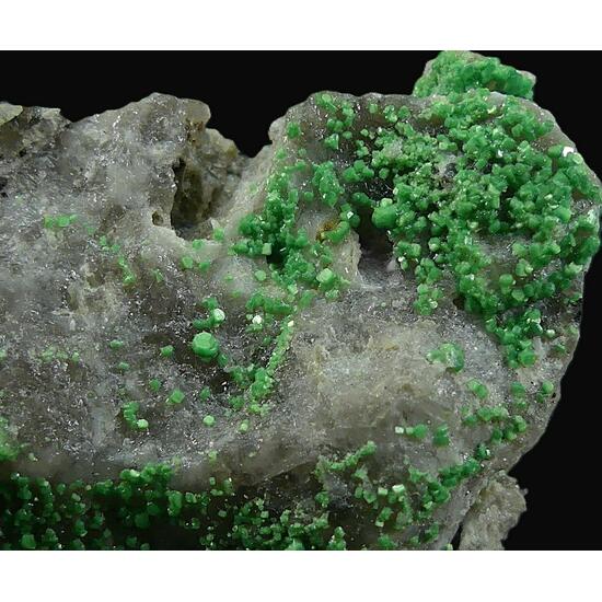 Torbernite