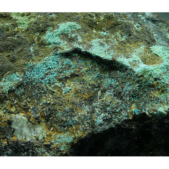 Serpierite & Magnetite