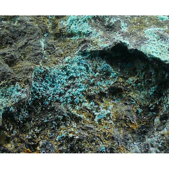 Serpierite & Magnetite