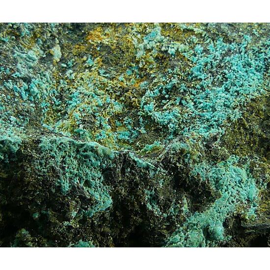 Serpierite & Magnetite