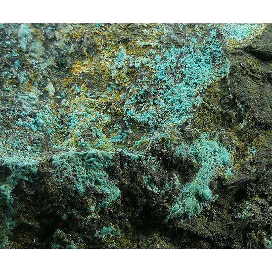 Serpierite & Magnetite