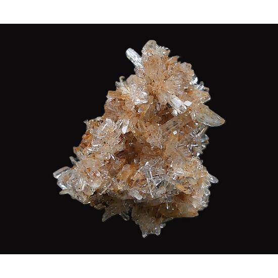 Creedite