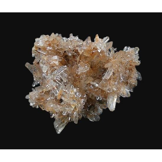 Creedite