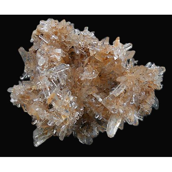Creedite