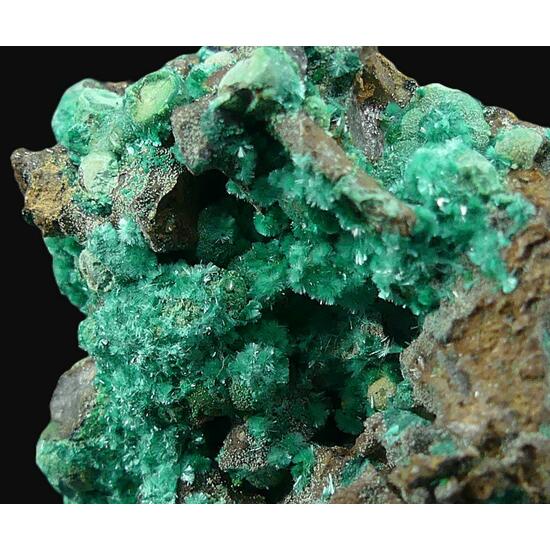 Brochantite & Malachite
