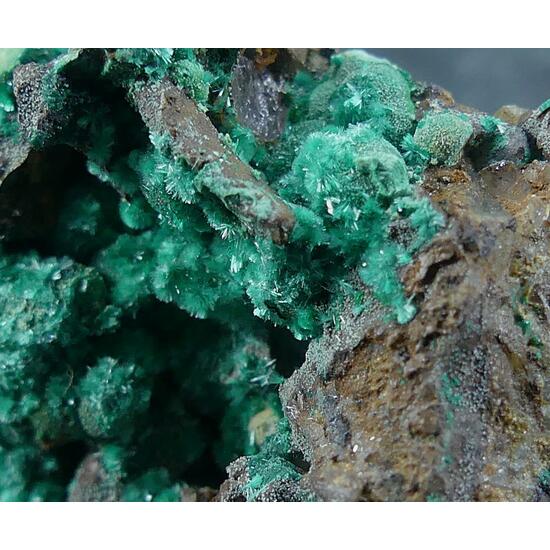 Brochantite & Malachite