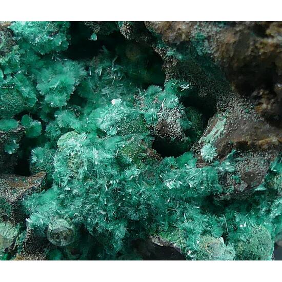 Brochantite & Malachite