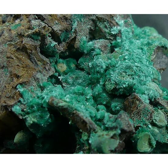 Brochantite & Malachite