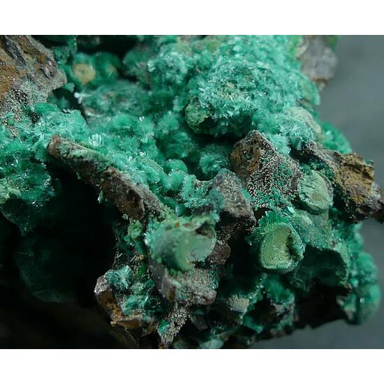 Brochantite & Malachite