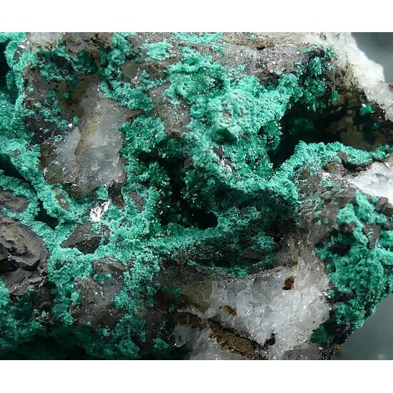 Pseudomalachite & Libethenite