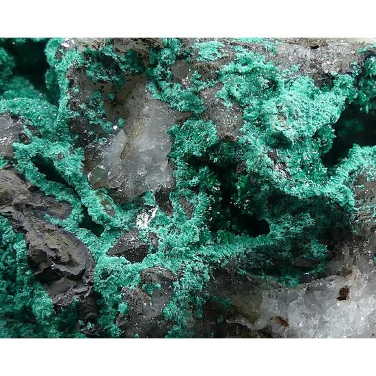 Pseudomalachite & Libethenite