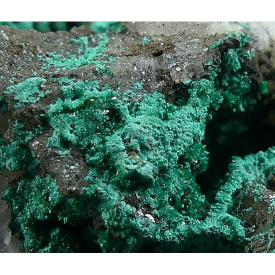 Pseudomalachite & Libethenite