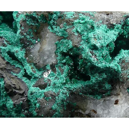 Pseudomalachite & Libethenite