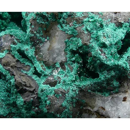 Pseudomalachite & Libethenite