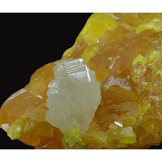 Native Sulphur & Celestine