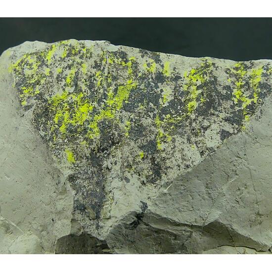 Tyuyamunite & Sepiolite