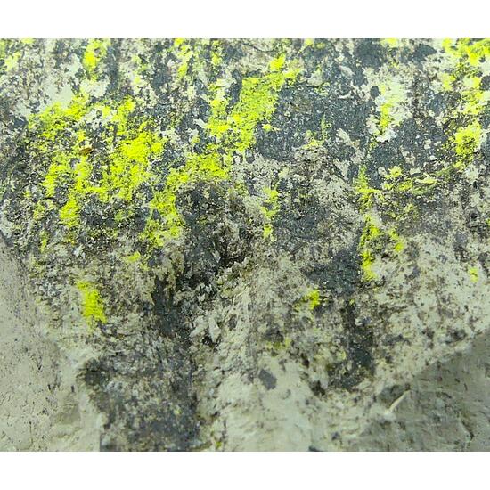 Tyuyamunite & Sepiolite