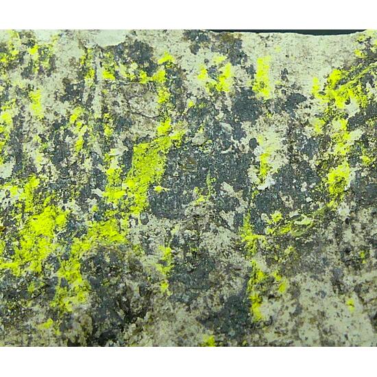 Tyuyamunite & Sepiolite