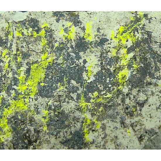 Tyuyamunite & Sepiolite