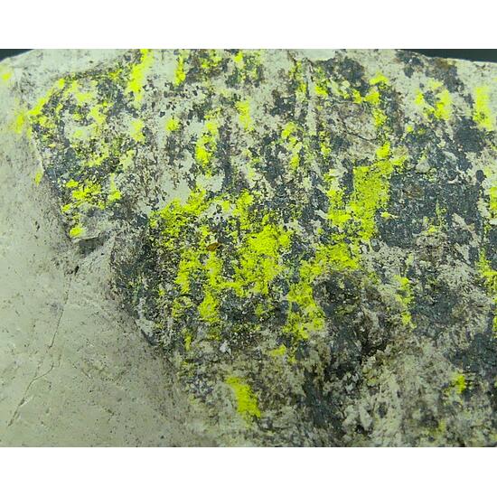 Tyuyamunite & Sepiolite