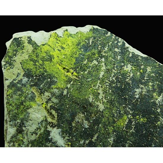 Tyuyamunite & Sepiolite