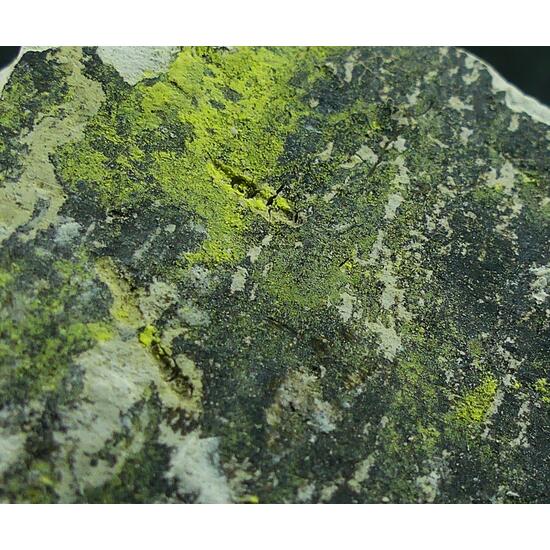 Tyuyamunite & Sepiolite