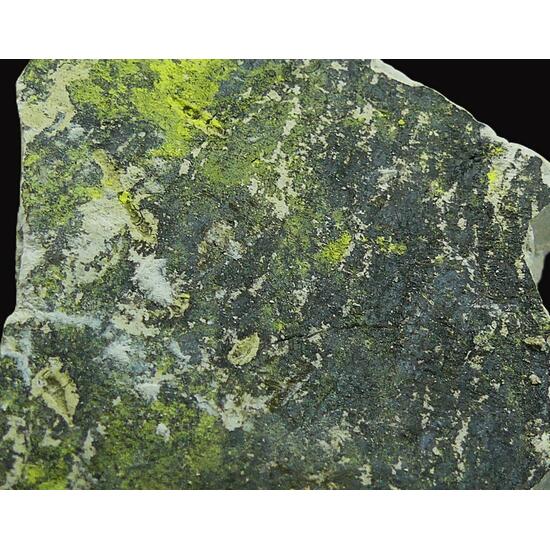 Tyuyamunite & Sepiolite