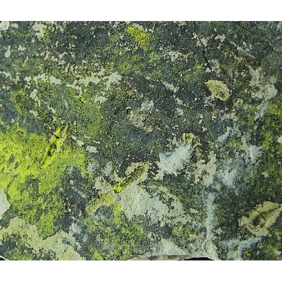 Tyuyamunite & Sepiolite