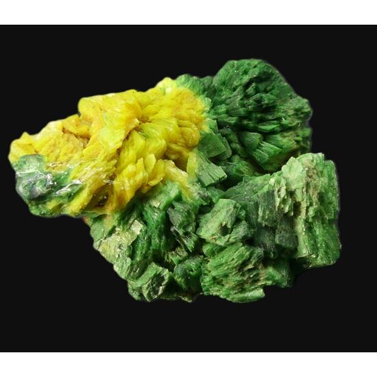 Torbernite & Autunite