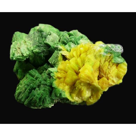 Torbernite & Autunite