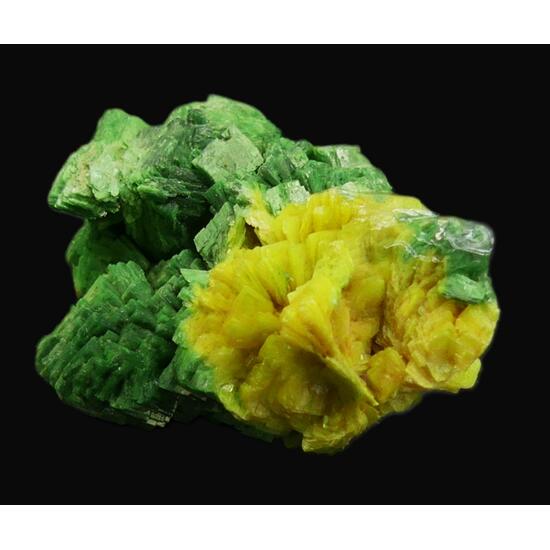 Torbernite & Autunite