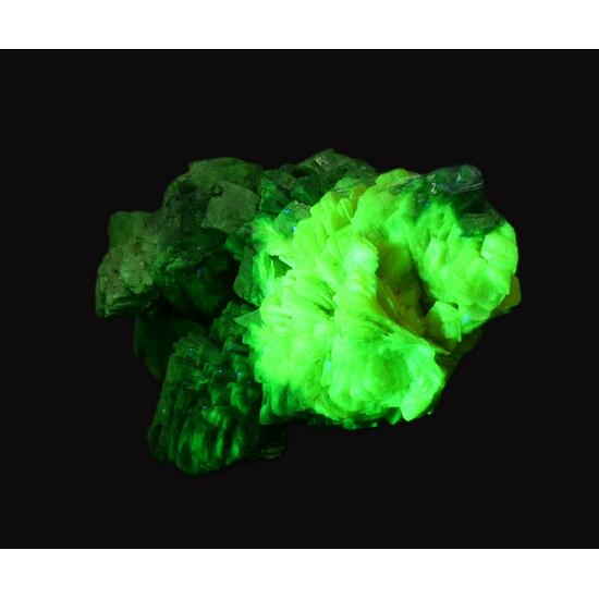 Torbernite & Autunite