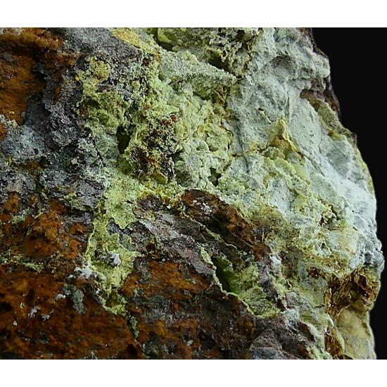 Montgomeryite & Tinticite