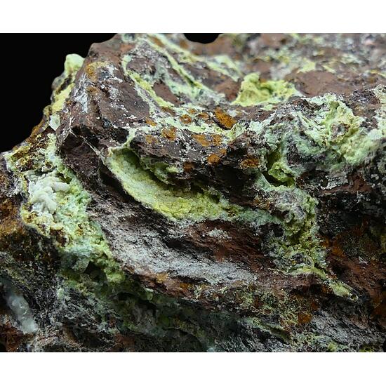 Montgomeryite & Tinticite