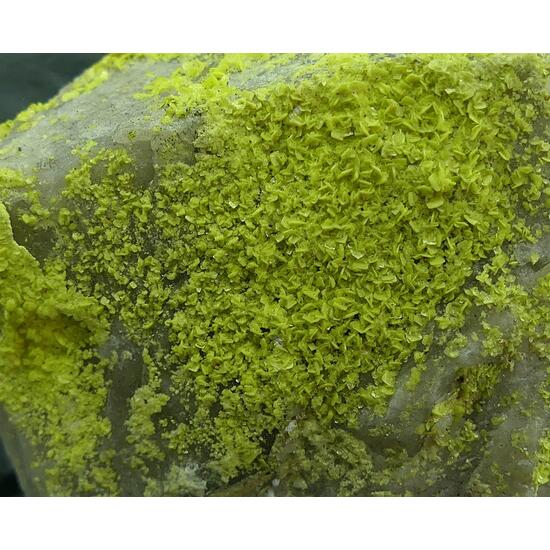 Autunite