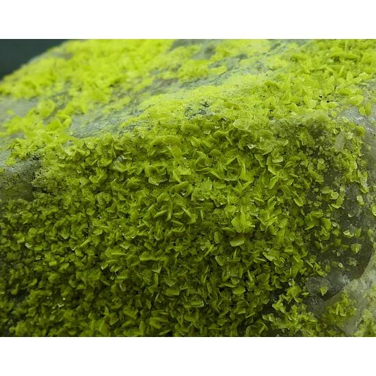 Autunite