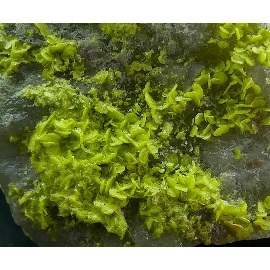 Autunite