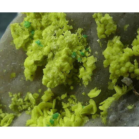 Autunite