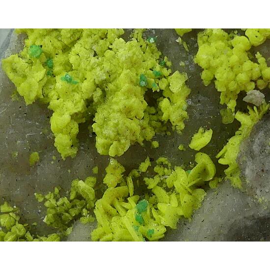 Autunite