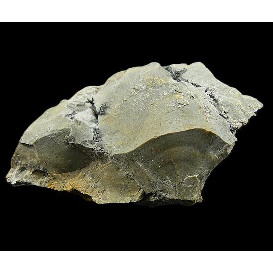 Kongsbergite & Silver