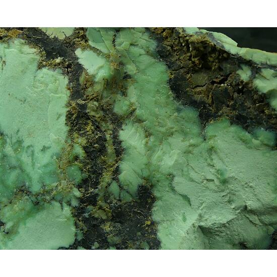 Variscite