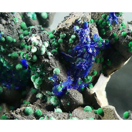 Brochantite Linarite & Malachite