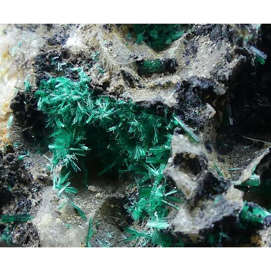 Brochantite Linarite & Malachite