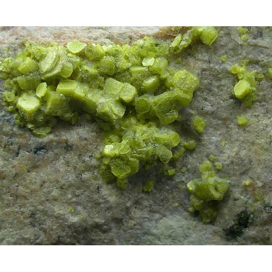 Autunite