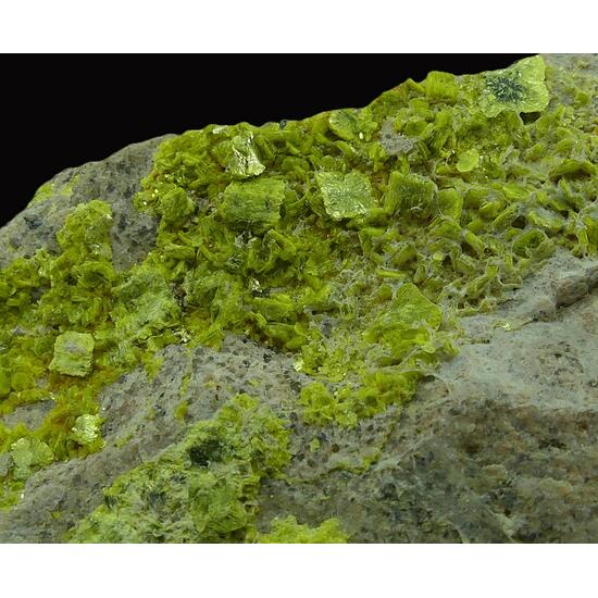 Autunite