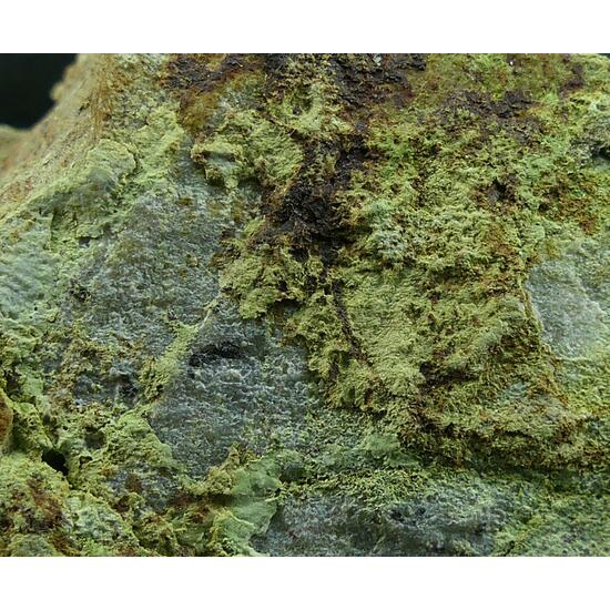 Barahonaite-(Fe) & Olivenite