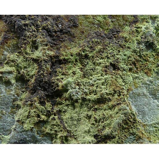 Barahonaite-(Fe) & Olivenite